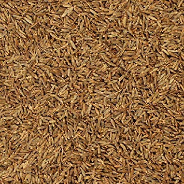 Cumin Seeds